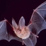 bat
