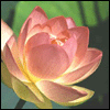 Otana's Photo