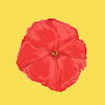 Rubymeadow