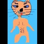 Crazy Cat