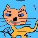 Crazy Cat