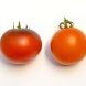 Tomatis